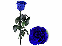 St. Leonhard Echte Rose, Infinity-Rose zum Muttertag