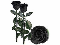 St. Leonhard Ewige Rose Box, Infinity-Rose für den Jahrestag